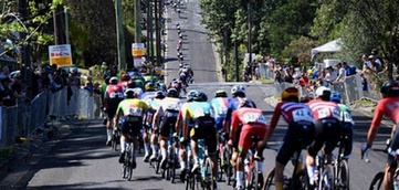 Tipsport